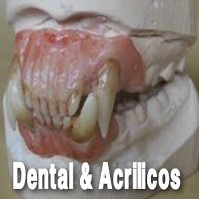 Acrilicos Dentales